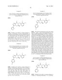 [1,2,4]TRIAZOLO[4,3-a]PYRAZINES AS P2X7 MODULATORS diagram and image