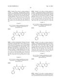 [1,2,4]TRIAZOLO[4,3-a]PYRAZINES AS P2X7 MODULATORS diagram and image