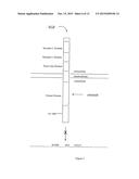 EGFR MUTATIONS diagram and image