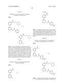 INTRACELLULAR KINASE INHIBITORS diagram and image