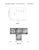 COMPOSITIONS AND METHODS FOR REDUCING OXIDATIVE DAMAGE diagram and image