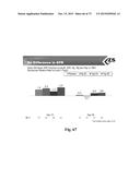 Microporous Zirconium Silicate for the Treatment of Hyperkalemia diagram and image