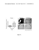 PHENOLIC COMPOSITIONS DERIVED FROM APPLE SKIN AND USES THEREOF diagram and image