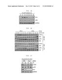 ADMINISTRATION METHOD FOR ANTICANCER DRUGS diagram and image