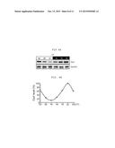 ADMINISTRATION METHOD FOR ANTICANCER DRUGS diagram and image