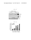 ADMINISTRATION METHOD FOR ANTICANCER DRUGS diagram and image