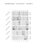 NEIL3 PEPTIDES AND VACCINES INCLUDING THE SAME diagram and image