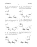 GLYCOCONJUGATES AND THEIR USE AS POTENTIAL VACCINES AGAINST INFECTION BY     SHIGELLA FLEXNERI diagram and image