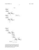 GLYCOCONJUGATES AND THEIR USE AS POTENTIAL VACCINES AGAINST INFECTION BY     SHIGELLA FLEXNERI diagram and image