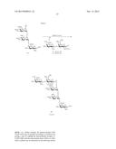 GLYCOCONJUGATES AND THEIR USE AS POTENTIAL VACCINES AGAINST INFECTION BY     SHIGELLA FLEXNERI diagram and image