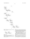 GLYCOCONJUGATES AND THEIR USE AS POTENTIAL VACCINES AGAINST INFECTION BY     SHIGELLA FLEXNERI diagram and image