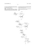 GLYCOCONJUGATES AND THEIR USE AS POTENTIAL VACCINES AGAINST INFECTION BY     SHIGELLA FLEXNERI diagram and image