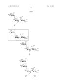 GLYCOCONJUGATES AND THEIR USE AS POTENTIAL VACCINES AGAINST INFECTION BY     SHIGELLA FLEXNERI diagram and image