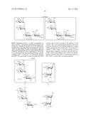 GLYCOCONJUGATES AND THEIR USE AS POTENTIAL VACCINES AGAINST INFECTION BY     SHIGELLA FLEXNERI diagram and image