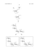 GLYCOCONJUGATES AND THEIR USE AS POTENTIAL VACCINES AGAINST INFECTION BY     SHIGELLA FLEXNERI diagram and image