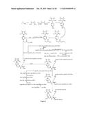 NOVEL COMPOUND WITH EFFECTS OF THROMBOLYSIS, FREE RADICAL SCAVENGING AND     THROMBUS-TARGETING AS WELL AS PREPARATION METHOD AND USE THEREOF diagram and image