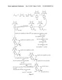 NOVEL COMPOUND WITH EFFECTS OF THROMBOLYSIS, FREE RADICAL SCAVENGING AND     THROMBUS-TARGETING AS WELL AS PREPARATION METHOD AND USE THEREOF diagram and image