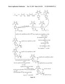 NOVEL COMPOUND WITH EFFECTS OF THROMBOLYSIS, FREE RADICAL SCAVENGING AND     THROMBUS-TARGETING AS WELL AS PREPARATION METHOD AND USE THEREOF diagram and image