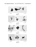 NOVEL COMPOUND WITH EFFECTS OF THROMBOLYSIS, FREE RADICAL SCAVENGING AND     THROMBUS-TARGETING AS WELL AS PREPARATION METHOD AND USE THEREOF diagram and image