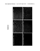 NONWOVEN FIBER MATERIALS diagram and image