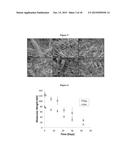 Solution Blow Spun Polymer Fibers, Polymer Blends Therefor and Methods of     Use Thereof diagram and image