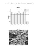 Solution Blow Spun Polymer Fibers, Polymer Blends Therefor and Methods of     Use Thereof diagram and image