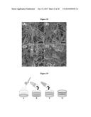 Solution Blow Spun Polymer Fibers, Polymer Blends Therefor and Methods of     Use Thereof diagram and image