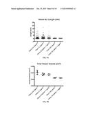 HYBRID FIBRIN-MICROGEL CONSTRUCTS FOR TISSUE REPAIR AND REGENERATION diagram and image