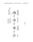 COLLOIDS WITH VALENCE: FABRICATION, FUNCTIONALIZATION AND DIRECTIONAL     BONDING diagram and image