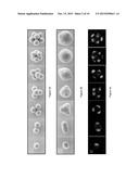 COLLOIDS WITH VALENCE: FABRICATION, FUNCTIONALIZATION AND DIRECTIONAL     BONDING diagram and image