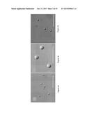 COLLOIDS WITH VALENCE: FABRICATION, FUNCTIONALIZATION AND DIRECTIONAL     BONDING diagram and image