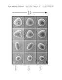 COLLOIDS WITH VALENCE: FABRICATION, FUNCTIONALIZATION AND DIRECTIONAL     BONDING diagram and image