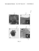 HIERARCHICAL POROUS MONOLITHS AND METHODS FOR THEIR PREPARATION AND USE diagram and image