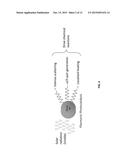 METHOD TO REDUCE CO2 TO CO USING PLASMON-ENHANCED PHOTOCATALYSIS diagram and image