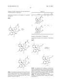 NEW SPIRO[3H-INDOLE-3,2 -PYRROLIDIN]-2(1H)-ONE COMPOUNDS AND DERIVATIVES     AS MDM2-P53 INHIBITORS diagram and image