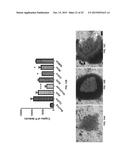 COMPOUNDS WITH SUPER-ASPIRIN EFFECTS diagram and image