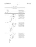 2-Amino-6-Methyl-4,4a,5,6-Tetrahydropyrano[3,4-d][1,3]Thiazin-8a(8H)-yl-1,-    3-Thiazol-4-yl Amides diagram and image