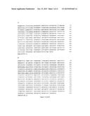 Recombinant Mycobacterium Encoding A Heparin-Binding Hemagglutinin (HBHA)     Fusion Protein And Uses Thereof diagram and image