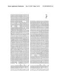 SPIDER SILK FUSION PROTEIN STRUCTURES FOR BINDING TO AN ORGANIC TARGET diagram and image