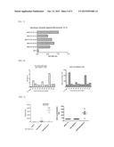 HEPATITIS C VIRUS NEUTRALIZING EPITOPES, ANTIBODIES, AND METHODS diagram and image