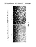 Methods For Treating Tweak-Related Conditions diagram and image