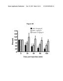 ANTAGONIST ANTIBODIES DIRECTED AGAINST CALCITONIN GENE-RELATED PEPTIDE AND     METHODS USING SAME diagram and image