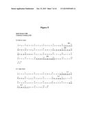 ANTAGONIST ANTIBODIES DIRECTED AGAINST CALCITONIN GENE-RELATED PEPTIDE AND     METHODS USING SAME diagram and image