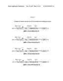 NOVEL IMMUNOPROTEASES diagram and image