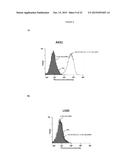 NOVEL IMMUNOPROTEASES diagram and image