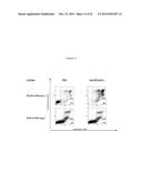 NOVEL IMMUNOPROTEASES diagram and image