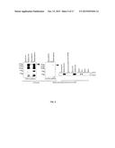 Cancer Diagnosis and Treatment of Cancer Using Anti-Robo 1 Antibody diagram and image