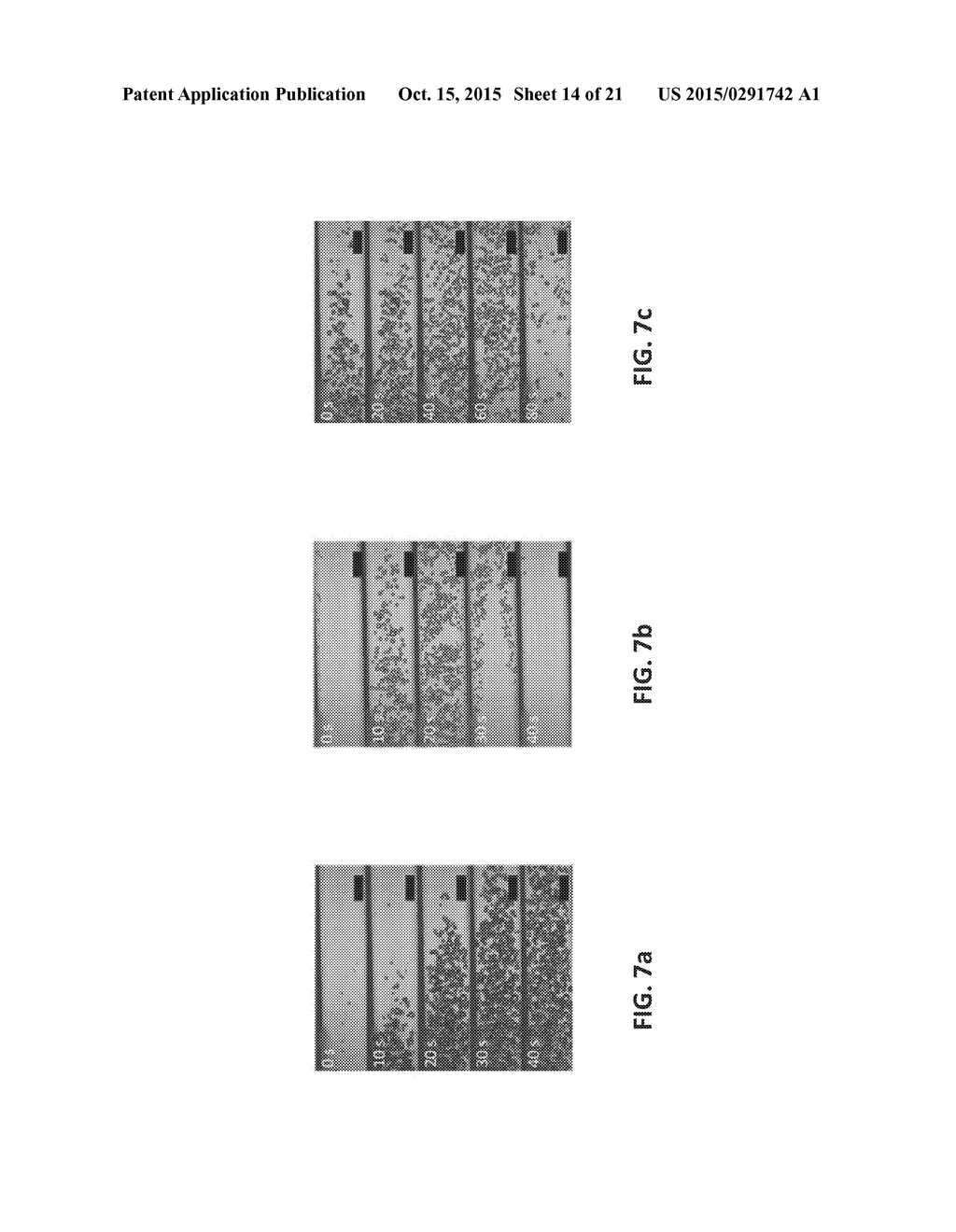 ANISOTROPIC AND AMPHIPHILIC PARTICLES AND METHODS FOR PRODUCING AND USING     THE SAME - diagram, schematic, and image 15