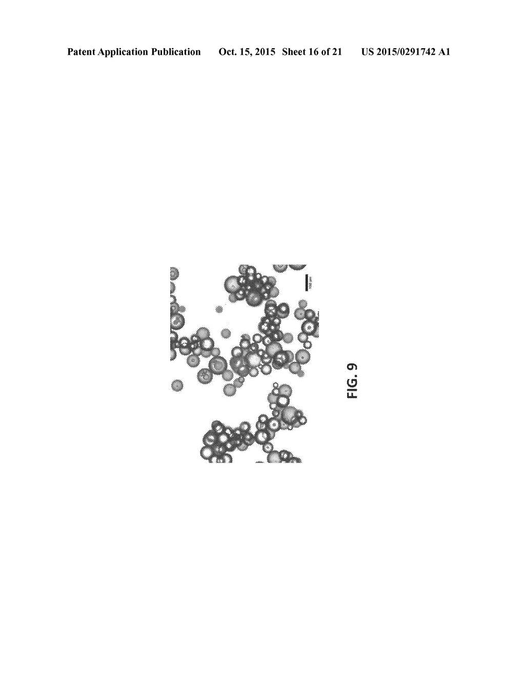 ANISOTROPIC AND AMPHIPHILIC PARTICLES AND METHODS FOR PRODUCING AND USING     THE SAME - diagram, schematic, and image 17