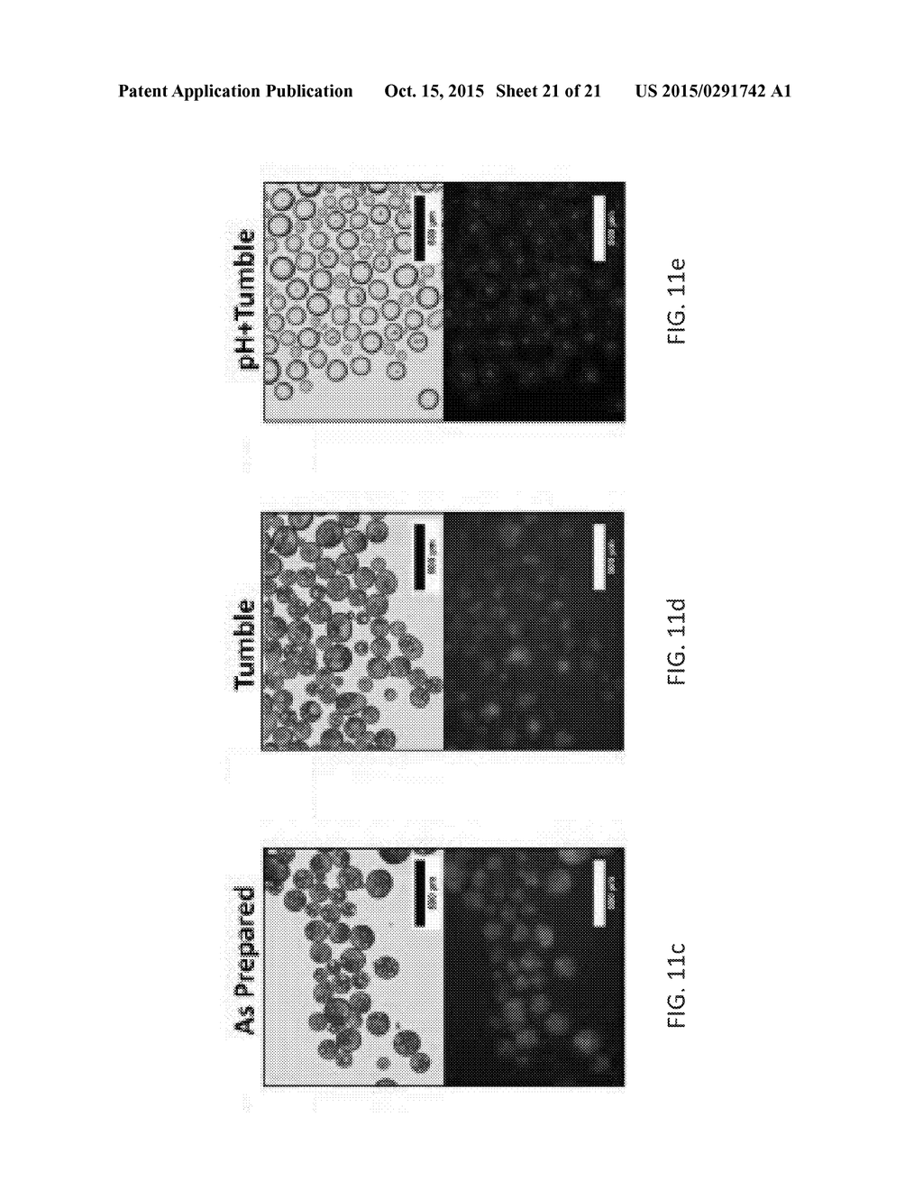ANISOTROPIC AND AMPHIPHILIC PARTICLES AND METHODS FOR PRODUCING AND USING     THE SAME - diagram, schematic, and image 22